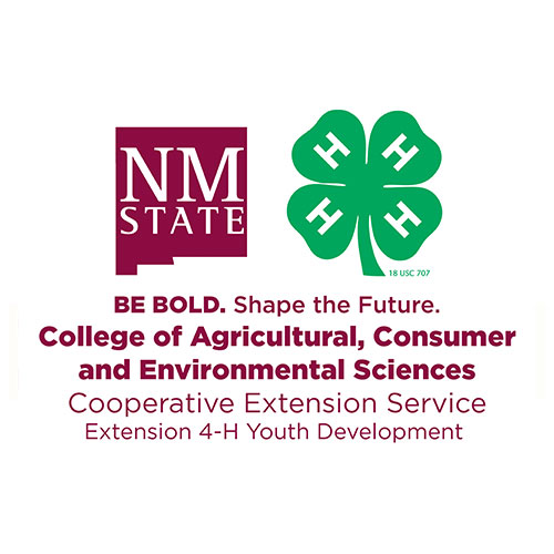 New Mexico 4-H