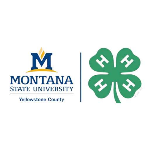 Yellowstone Montana 4H